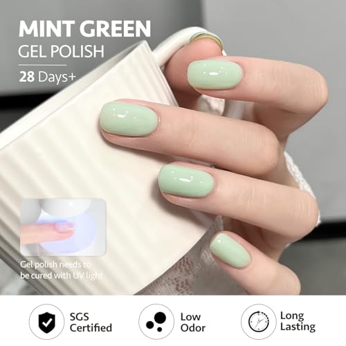 Image of GAOY Cat Eye Gel Nail Polish Set with Magnet for Jelly Green Glitter Holographic Cat Eye, Salon Gel Manicure and Nail Art DIY at Home, Mint Green