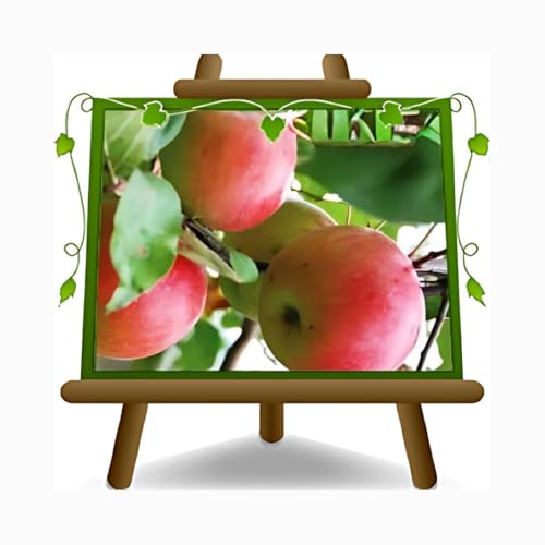 EURO PLANTS VIVAI Pommier Pommier rose plante fruitière en pot 24/26 cm hauteur maximale 180 cm - Âge 4 ans