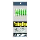 OCEAN CAT Fishing Rigs Saltwater Bait, Feather & Fish Skin 6 String Hooks Fishing Lure Tackle,Red/Gr