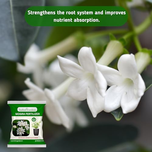Image of Indian Gardens - Organic humic acid fertilizer for plants | Organic humic fertilizer | Soil conditioner | Plant growth booster | Root growth enhancer | (Humic, 200 Grams)