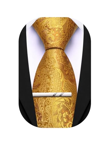Image of Barry.Wang Paisley Tie for Men Silk Woven Necktie and Tie Clip Set Wedding Party Business Formal