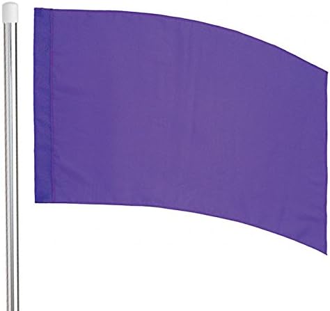 6' Silver Flag Pole and Color Guard Flag Package (Purple)