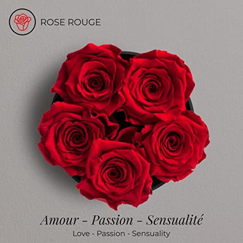 Fleurs Véritables : 5 Roses Éternelles Amoroses en Petite Boîte - 5