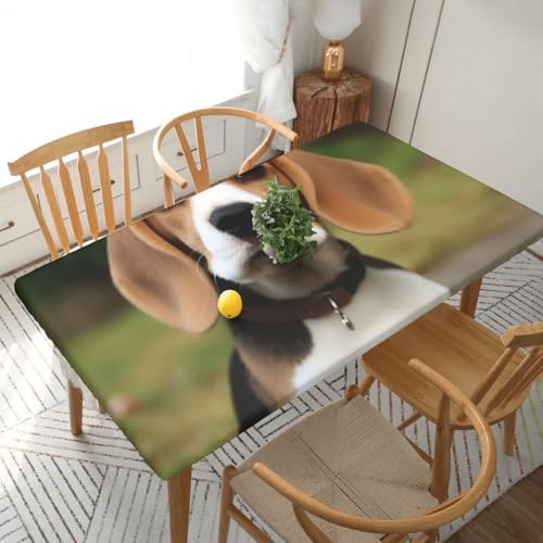 Nappe de table imperméable anti-tache et ajustée pour décoration de buffet - 2