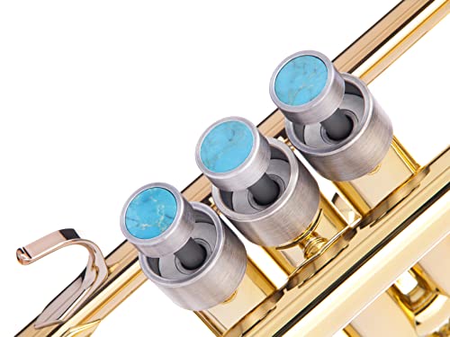 �w�r�[�g�����y�b�g�J�X�^���t�B���K�[�{�^�� ���ׂẴ��}�n (All YTR) Stomvi/Shagerl Carol Brass and Fides Trumpets Yamaha flugelhorn 631/731 Yamaha Cornet���f��