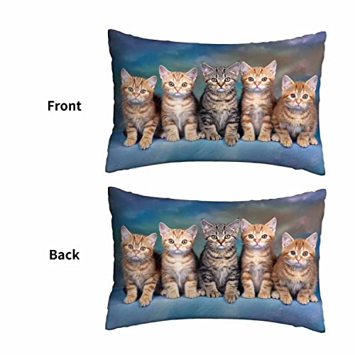 Mugod Cushion Cover Cute Kitten Cat,Pillow Case For Bed Couch Sofa Office Decor 20X30 Inches #TOP1