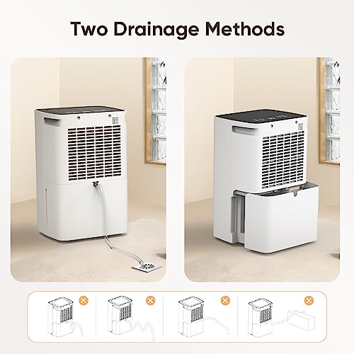 2500 Sq. Ft 30 Pint Dehumidifier, Dehumidifiers For Home Basement With Drain Hose, Colaze Dehumidifiers For Large Room With Auto Or Manual Drain, 24 Hours Timer, 0.58 Gallon Water Tank, Auto Defrost, Overflow Protection, Continuous Drain Function #TOP6