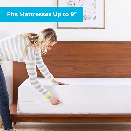 Best Bed Bug Mattress Encasement 2024 Get The Protection You Need