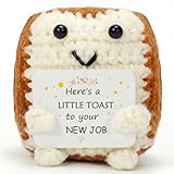 Regalos de nuevo trabajo para mujeres y hombres, un pequeño brindis por tu nuevo trabajo, mini tostada de ganchillo hecha a mano, regalo para colegas, amigos, jefes, mejores amigos de trabajo