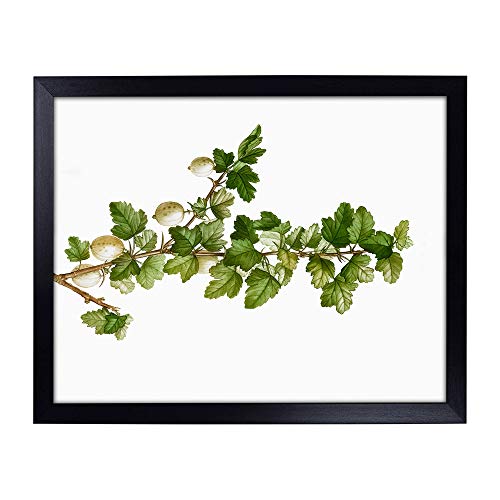 Lap Tray with Cushion | Gooseberry Bush by Pierre-Joseph Redoute | Padded Bean Bag Cushion | For Eating, Working, Crafting, Laptop | Portable Table Desk