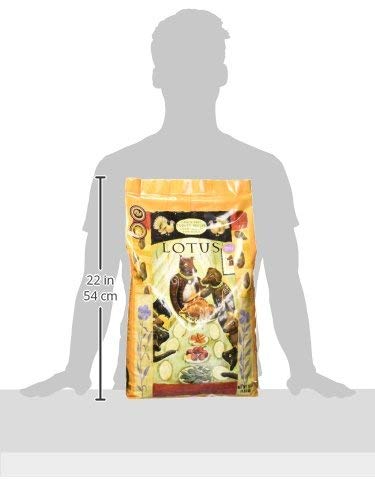 Lotus Wholesome Grain Free Small Bites Turkey Recipe Dry Dog Food, 10 Lb Bag