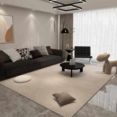 Angoda洗浄可能なカーペット 滑り止め 防塵 柔らかい ふっくら ファッショナブル リビングソファ全面敷きカーペット (80*120cm,帰思)