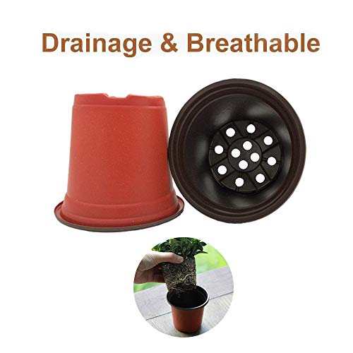 Baaxxango 100 Pcs 3.5 Inch Plastic Seedlings Plants,Nursery Pots,Seed Starting Pot For Succulents, Seedlings, Cuttings, Transplanting #TOP2