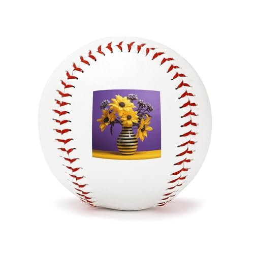 Balles de baseball d'entraînement 9 pouces pour lancer et frappe