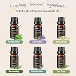 Essential Oil Set -Natural Essential Oils for Diffuser for Home, Top 6 Aromatherapy Diffuser Oils Scents, Candle Making Scents -Peppermint, Lavender, Eucalyptus, Lemongrass, Rosemary, Tea Tree (10ml) - Image 2