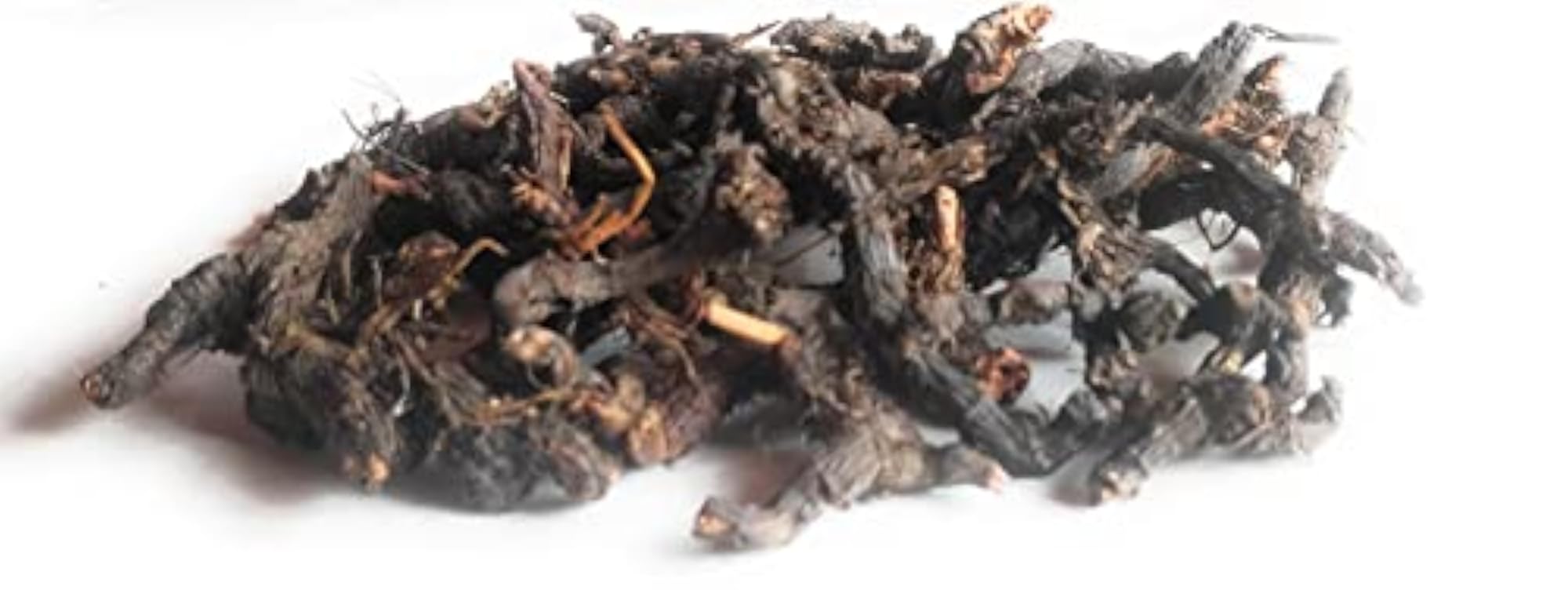 Nagarmotha Roots, 200 gm, Natural Herbal Supplement