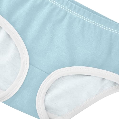 Joisal Light Blue Girl Panties Cute Girls Underwear Toddler Cotton Personalized Underpants Briefs 2t4