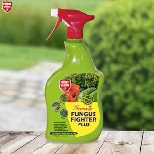 Provanto - Fungus Fighter Plus - Eradicates, Controls & Protects for Up To 3 Weeks - Garden Care, Plant Protection, Ready to Use Fungicide, Use Indoor & Outdoor on Flowers, Fruit & Veg, Shrubs - 1L - Image 5