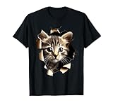 Katzen Motive für Katzen Liebhaber