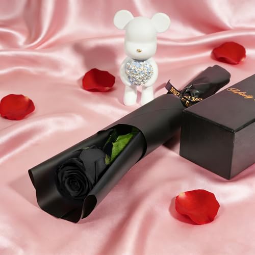 Miniatura 4 de Yamonic Rosa Eterna San Valentin Regalos Mujer, Rosa Preservada Con Tallo Regalo Cumpleaños Mujer, Flores Preservadas Regalos, Rosa Eterna Natural Preservada Regalo San Valentín Para Ella,Rosa Negra