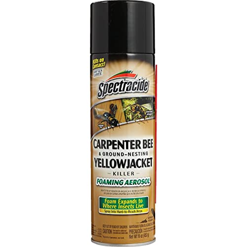 Spectracide HG-53371 Carpenter Bee and Yellowjacket Killer