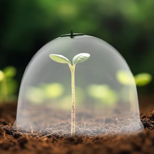 Baluue Garden Plant Cloches, 10pcs Plastic Garden Dome Plant Protection Mini Greenhouse for Protection Against Birds Frost - Image 2