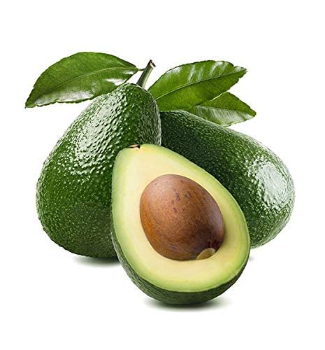 GREEN VOLCANO Rare Persea americana Avocado Fruit 1 Healthy GRAFTED Live Plant (B0BQWJ5MLV) Amazon Price History, Amazon Price Tracker