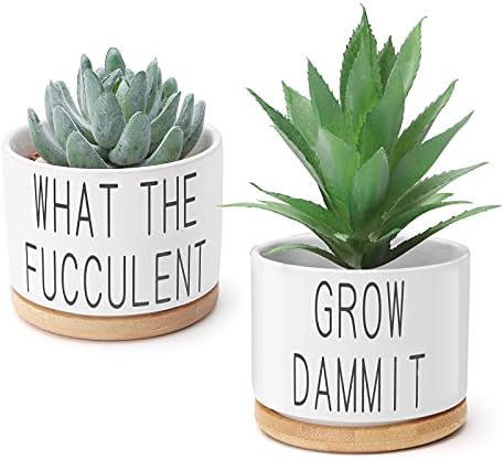 Ceramic Plant Pot,Meiyaa Set of 2 White 3.6 inch Ceramic Succulent Flower Planter Pot with Bamboo Tray for Succulent and Herb Plant Indoor or Outdoor Decoration (Plant not included) (A)