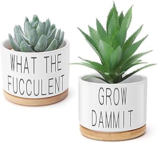 Ceramic Plant Pot,Meiyaa Set of 2 White 3.6 inch Ceramic Succulent Flower Planter Pot with Bamboo Tray for Succulent and Herb Plant Indoor or Outdoor Decoration (Plant not included) (A)