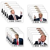 20 PCS Assorted Trump I Did that Stickers - Funny Sticker Waterproof Car Decal Tariff Anti (Square)