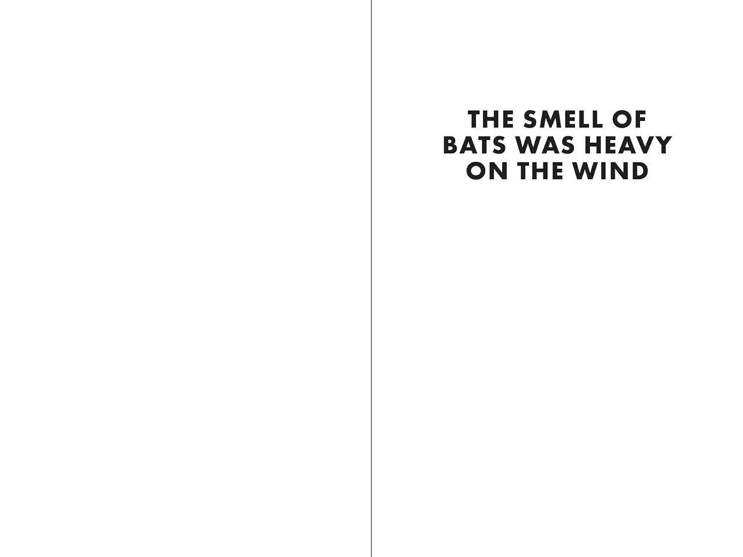 The Moon Papers: A Novel