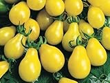  Tomate - Pera amarilla / Cherry Bell 5 Semillas
