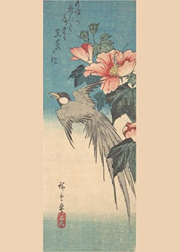 RPW Roystone Print Works Hiroshige 'Hibiscus Mutabilis and Jay', Japan, 19th Century, Reproduction gloss A4 & A3 Vintage Classic Ukiyo-e Art Poster