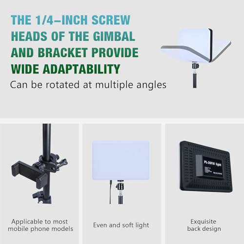 Light for Video Recording, Photography Lighting Kit Studio Lights with 6.5ft Stand, Phone Holder and Bag for TikTok, YouTube, Live Streaming, Podcast, Vlogging (LOMTAP) - Thumbnail 7