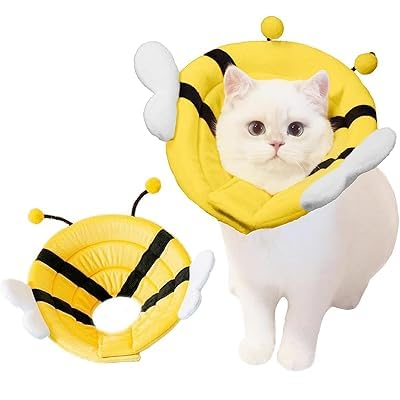 L GUxXJ[ ~co`̌` ~h~ rߖh~ \ _炩 y ʋC 􂦂 p̃PA L  ybgی ybgpi (M)