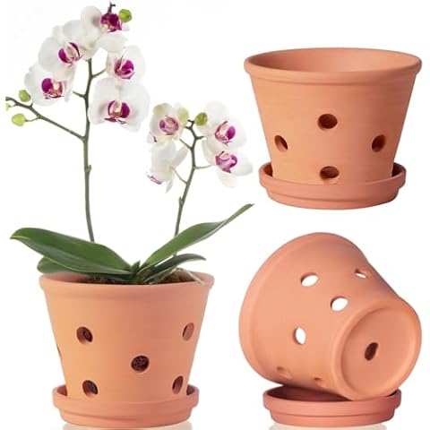 6 inch Terracotta Orchid Pots with Holes and Saucers, 3 Pack Clay Orchid Planter Pots for Repotting, Small Terra Cotta Orchid Pot, Plant Flower Pots for Orchid Indoor Outdoor Promotes Air Circulation Cover