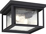 Sea Gull Lighting 78027-12 Two Light Outdoor Ceiling Flush Mount, Black