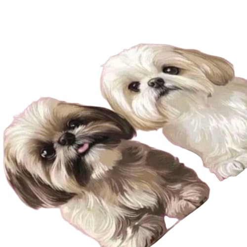 �V�[�Y�[ 2�C ������� �w�i�s���N �}�b�g �t���A�}�b�g ���փ}�b�g4060