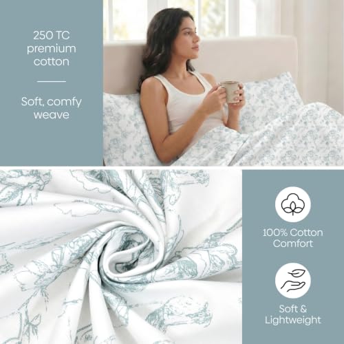 Image of Haus & Kinder Double Bed Bedsheet for Queen Size Bed with 2 Pillow Covers 90 Inch x 100 Inch | Premium Soft & Silky Pure Cotton 300 TC Flat Double Bedsheet | Luna Rose Cream