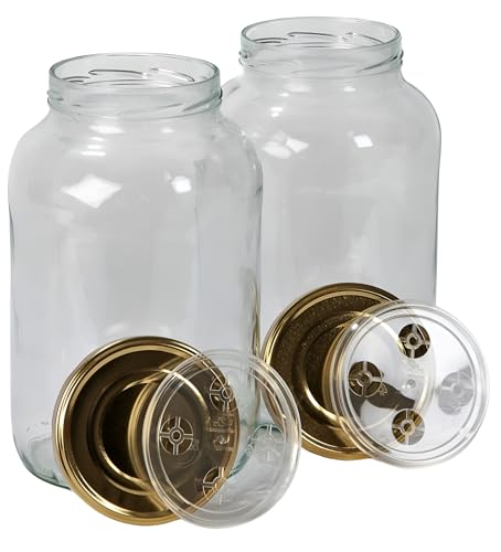 Olive in salamoia fatte in casa: la ricetta 3 myFERMENTS Barattoli di Vetro con Coperchio -...