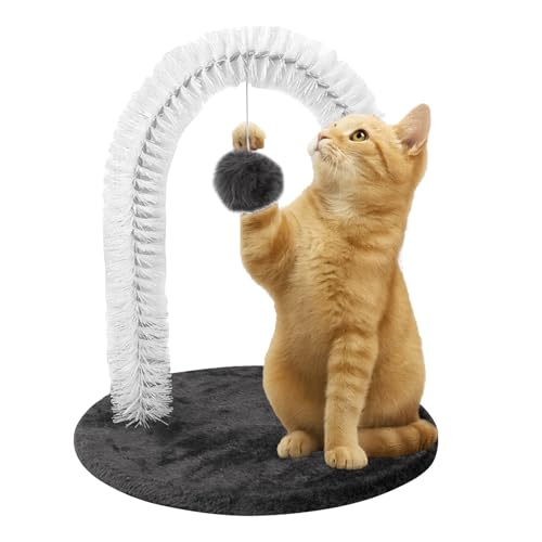 Masseur autonettoyant pour chat et station de toilettage autonome pour un salon sans poils