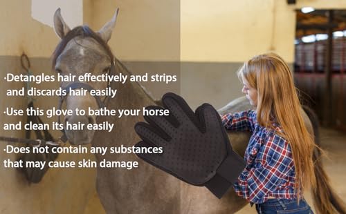 Horse Grooming Kit (10-Piece) with Tote,Horse Cleaning Tool Set with Assorted Hair and Curry Comb, Hoof Pick Sweat Scraper,Grooming Gloves,Portable Black Storage Bag,Riding Equipment for Beginners - Image 6