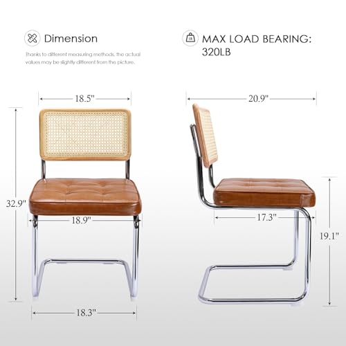 zola mid-century design dining chair