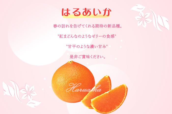 Amazon.co.jp: みかん はるあいか 〇等級 4L～Mサイズ 5kg 愛媛県産 紅