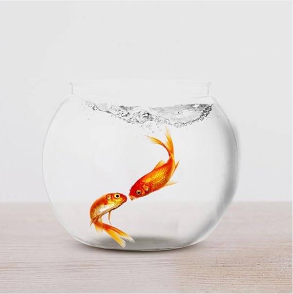 PET Fish Bowl, Home Desk Top Ornamental Fish Tank, Classic Spherical Fish Tank, All Transparent Gold Fish Bowl, Modern Guppy Aquarium, Micro-Landscape Cold Water Pet Fish Tank,S