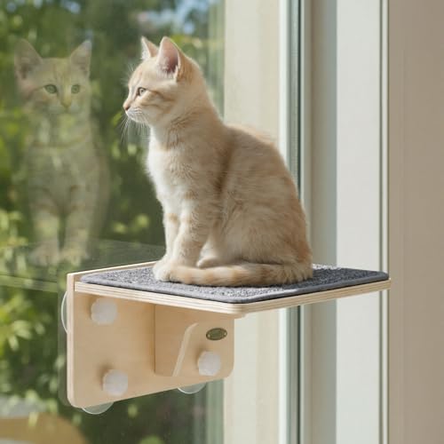 pecute Kletterwand Katzen, 2-in-1 für Wand & Glas, Katzenkletterwand mit Waschbar Abnehmbar Filzunterlage, Katzenliege Fenster Fensterplätze mit Große Saugnäpfe für Katzen, Kätzchen (S)