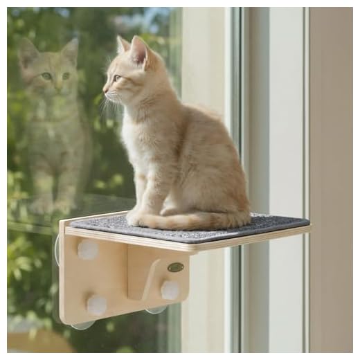 Pecute Katzen Fensterliege 2-in-1 für 10kg
