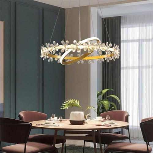 Lustre de décoration LED moderne plafonnier cristal suspendu 2 anneaux
