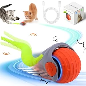 Katzenspielzeug Elektrisch, Interaktives Katzenspielzeug, Katzen-spielzeug Selbstbeschäftigung Rolling Ball Interakties Balls Spielzeug, Neuer Automatisch Beweglicher Katzen-spielzeugball mit Schwanz