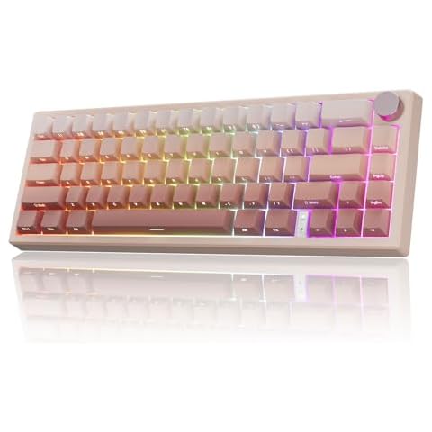 RisoPhy 60% Wireless Mechanical Gaming Keyboard, 2.4G/USB-C/Bluetooth Keyboard with LED Backlight, 66 Keys Mini Keyboard, Gasket Mount Cute Creamy Keyboard with Red Switches/Metal Knob/Software-Pink Cover
